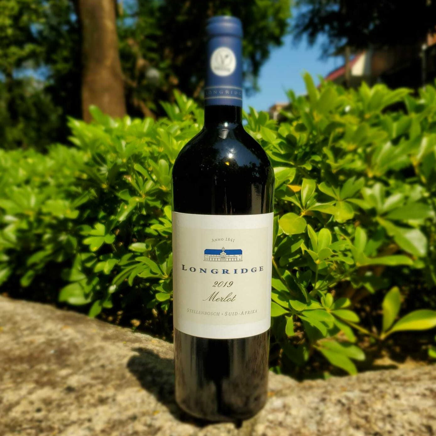 南非 Longridge Merlot 2020