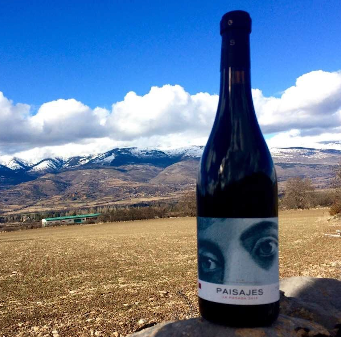 西班牙 Paisajes La Pasada Rioja Tempranillo 2014 (RP91)