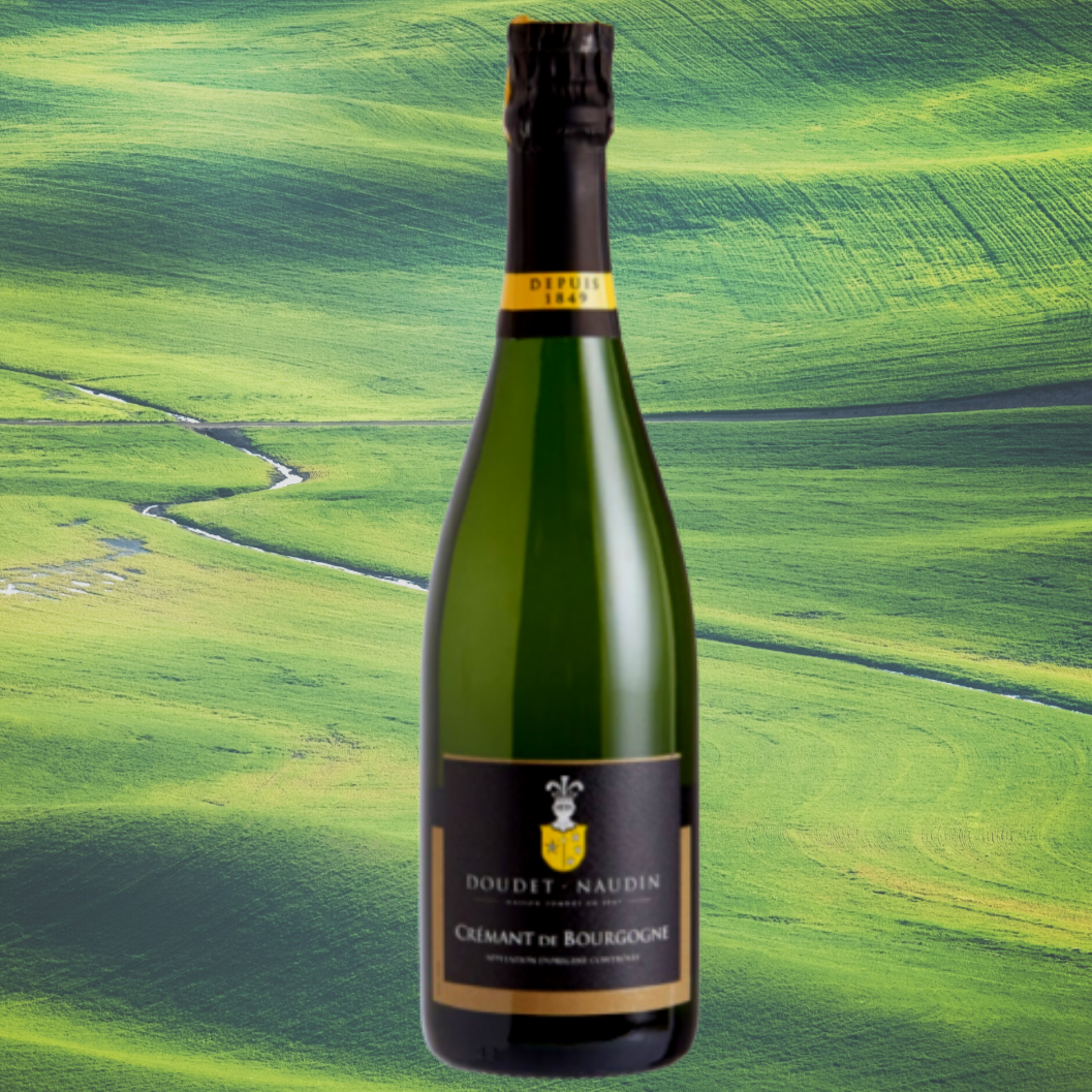 法國 Doudet Naudin Crémant de Bourgogne Brut (Vivino 4.3!)