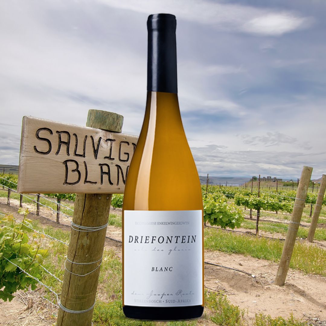 南非 Driefontein Sauvignon Blanc 2020 白酒