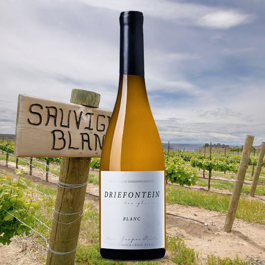 南非白酒 Driefontein Sauvignon Blanc 2023