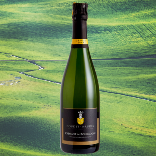 法國高級汽酒 Doudet Naudin Crémant de Bourgogne Brut